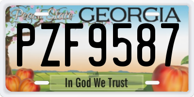 GA license plate PZF9587
