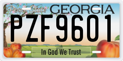 GA license plate PZF9601