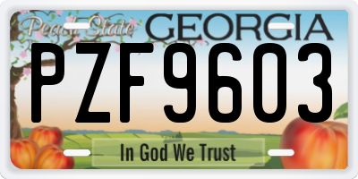 GA license plate PZF9603