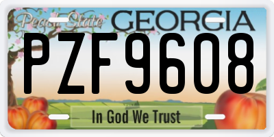 GA license plate PZF9608