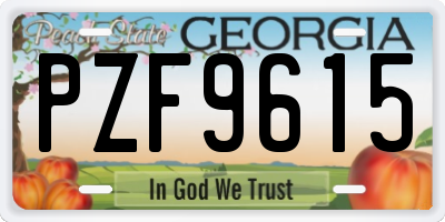 GA license plate PZF9615