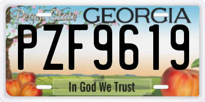 GA license plate PZF9619