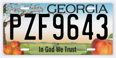 GA license plate PZF9643