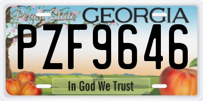GA license plate PZF9646