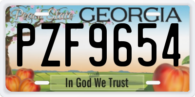GA license plate PZF9654