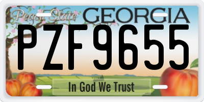 GA license plate PZF9655