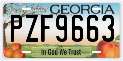 GA license plate PZF9663