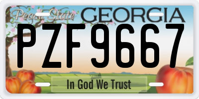 GA license plate PZF9667