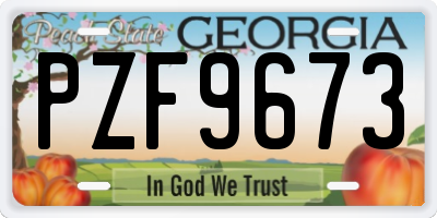 GA license plate PZF9673