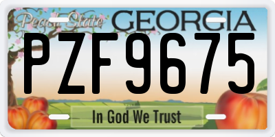 GA license plate PZF9675