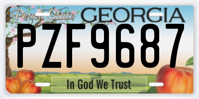 GA license plate PZF9687