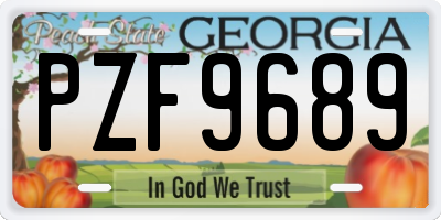 GA license plate PZF9689