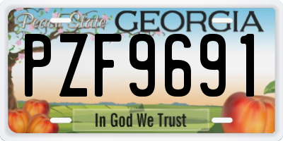 GA license plate PZF9691