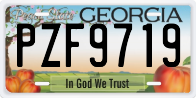 GA license plate PZF9719
