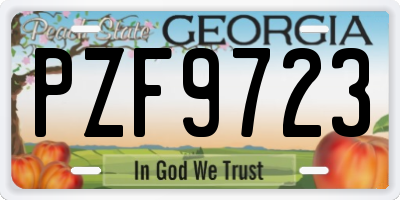 GA license plate PZF9723