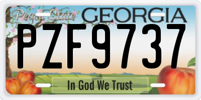 GA license plate PZF9737