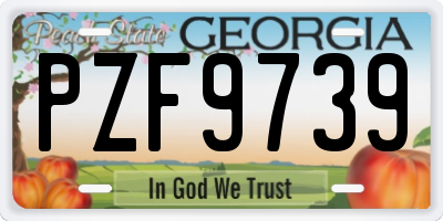 GA license plate PZF9739