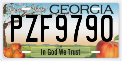 GA license plate PZF9790