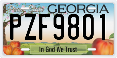 GA license plate PZF9801