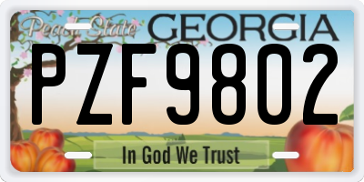 GA license plate PZF9802