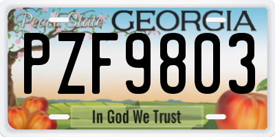 GA license plate PZF9803