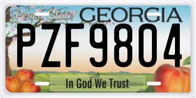 GA license plate PZF9804