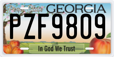 GA license plate PZF9809