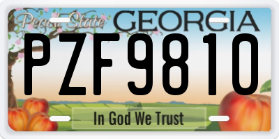 GA license plate PZF9810