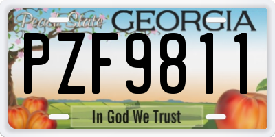 GA license plate PZF9811