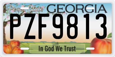 GA license plate PZF9813