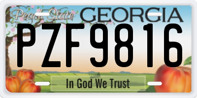 GA license plate PZF9816