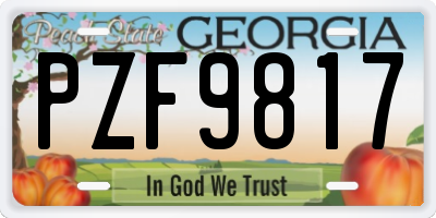 GA license plate PZF9817