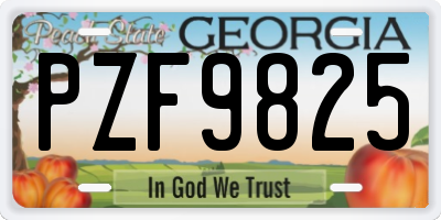 GA license plate PZF9825