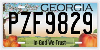 GA license plate PZF9829