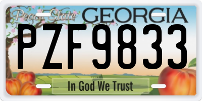 GA license plate PZF9833