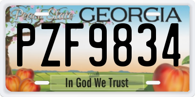 GA license plate PZF9834