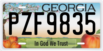 GA license plate PZF9835