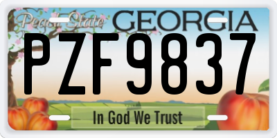 GA license plate PZF9837