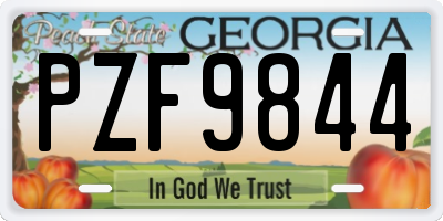 GA license plate PZF9844