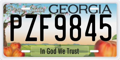 GA license plate PZF9845