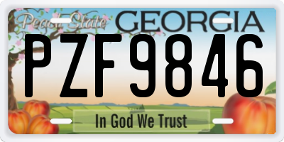 GA license plate PZF9846