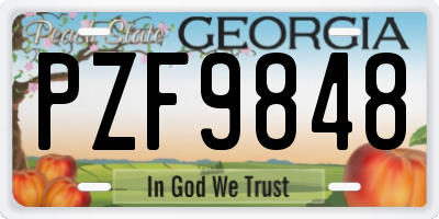 GA license plate PZF9848