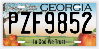 GA license plate PZF9852