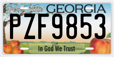 GA license plate PZF9853