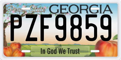 GA license plate PZF9859