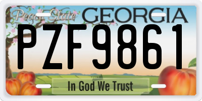 GA license plate PZF9861