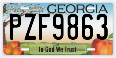 GA license plate PZF9863