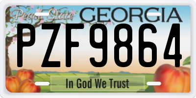 GA license plate PZF9864