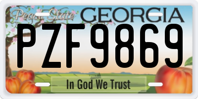 GA license plate PZF9869