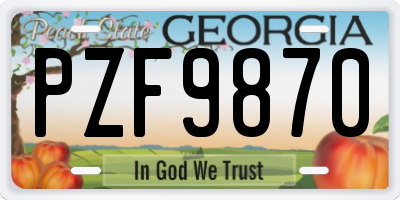GA license plate PZF9870